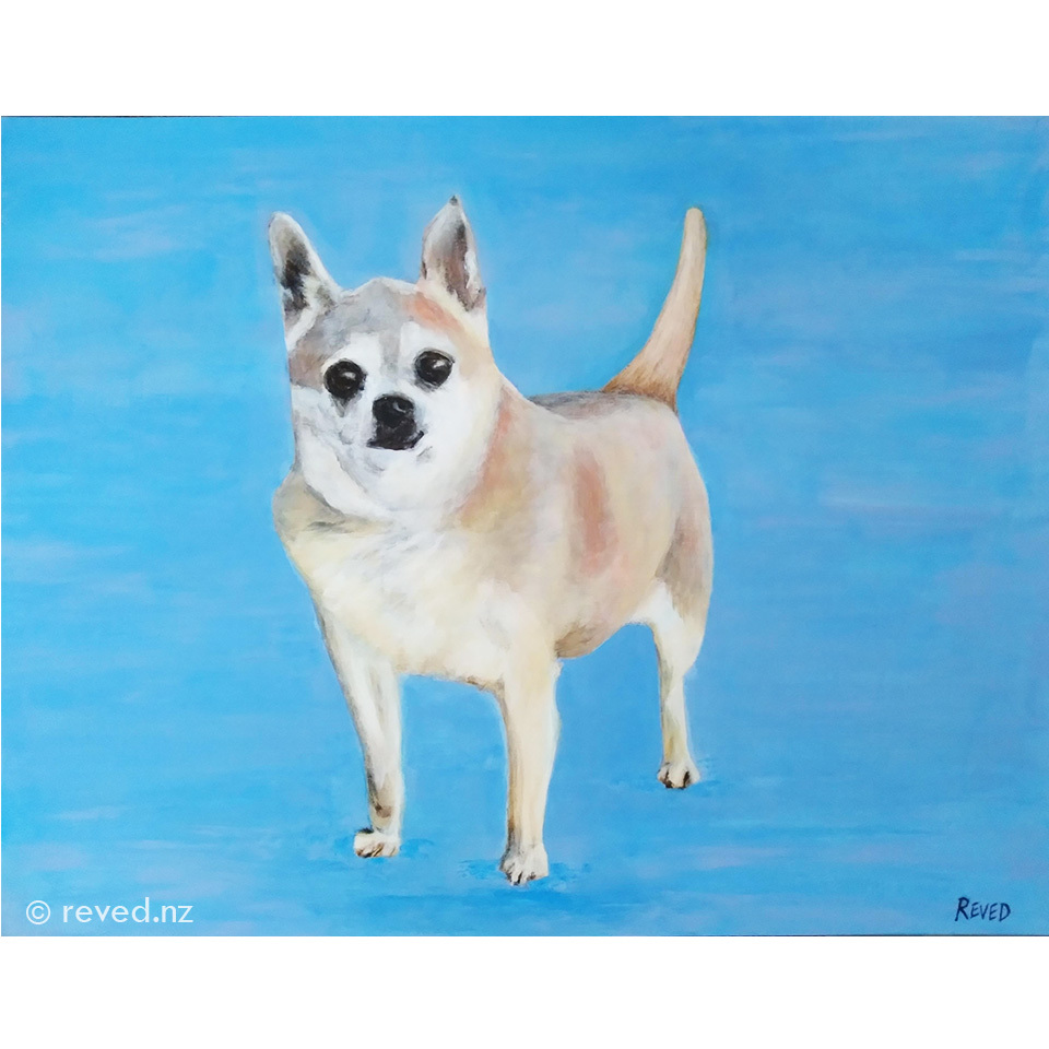 Pet Portrait - Rocky