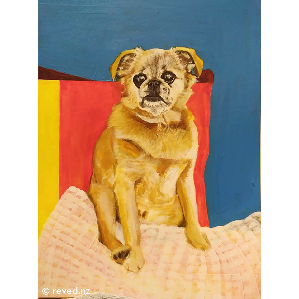 Pet Portrait NZ